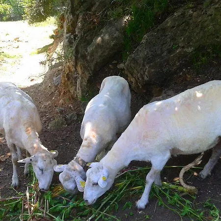 El Mirador De Ordiales Careses