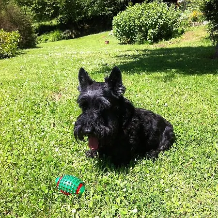 בית כפרי El Mirador De Ordiales