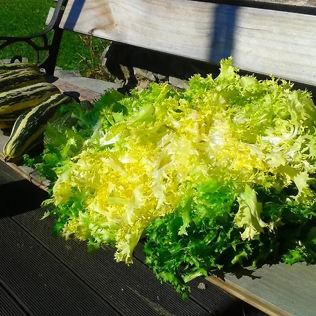 Casa de Campo El Mirador De Ordiales Careses