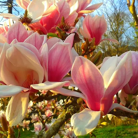 El Mirador De Ordiales