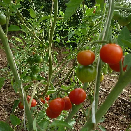 El Mirador De Ordiales