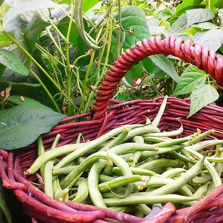 Casa de Campo El Mirador De Ordiales *