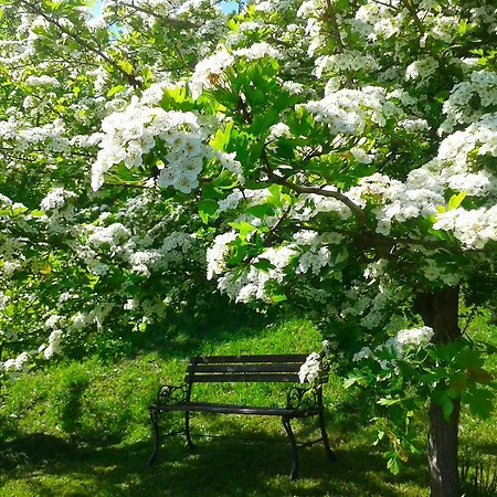 El Mirador De Ordiales Careses