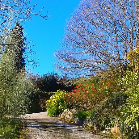El Mirador De Ordiales