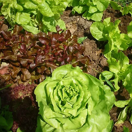 בית כפרי El Mirador De Ordiales *