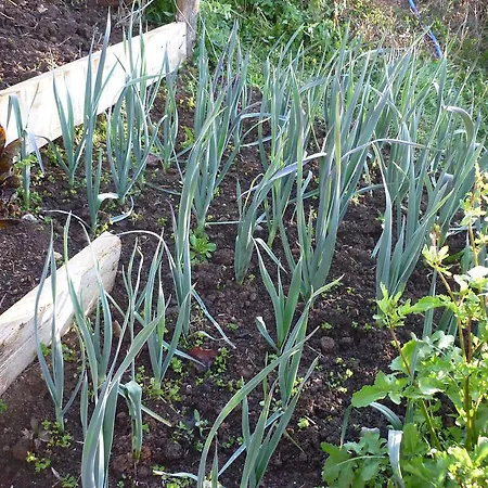 El Mirador De Ordiales Careses