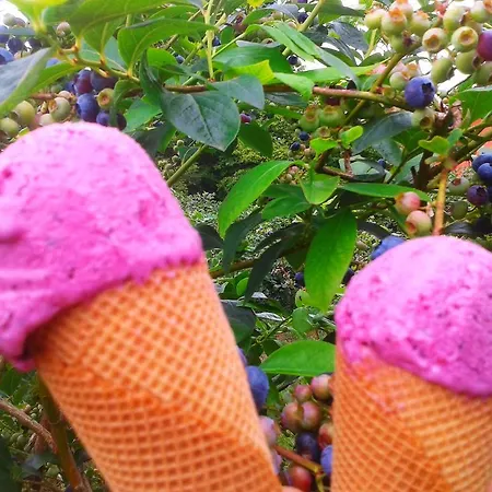 בית כפרי El Mirador De Ordiales *