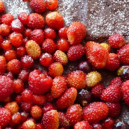 בית כפרי El Mirador De Ordiales