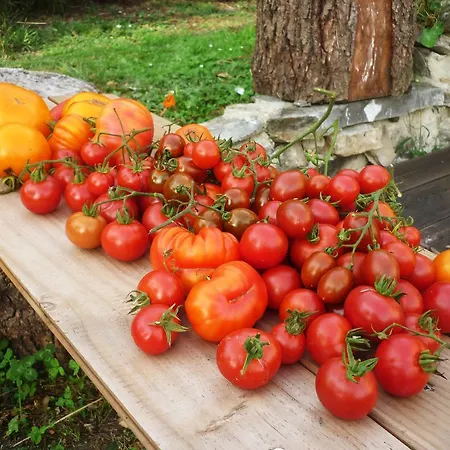 El Mirador De Ordiales Careses