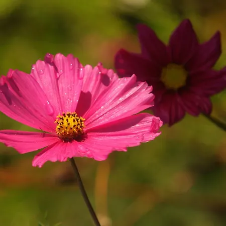 בית כפרי El Mirador De Ordiales *